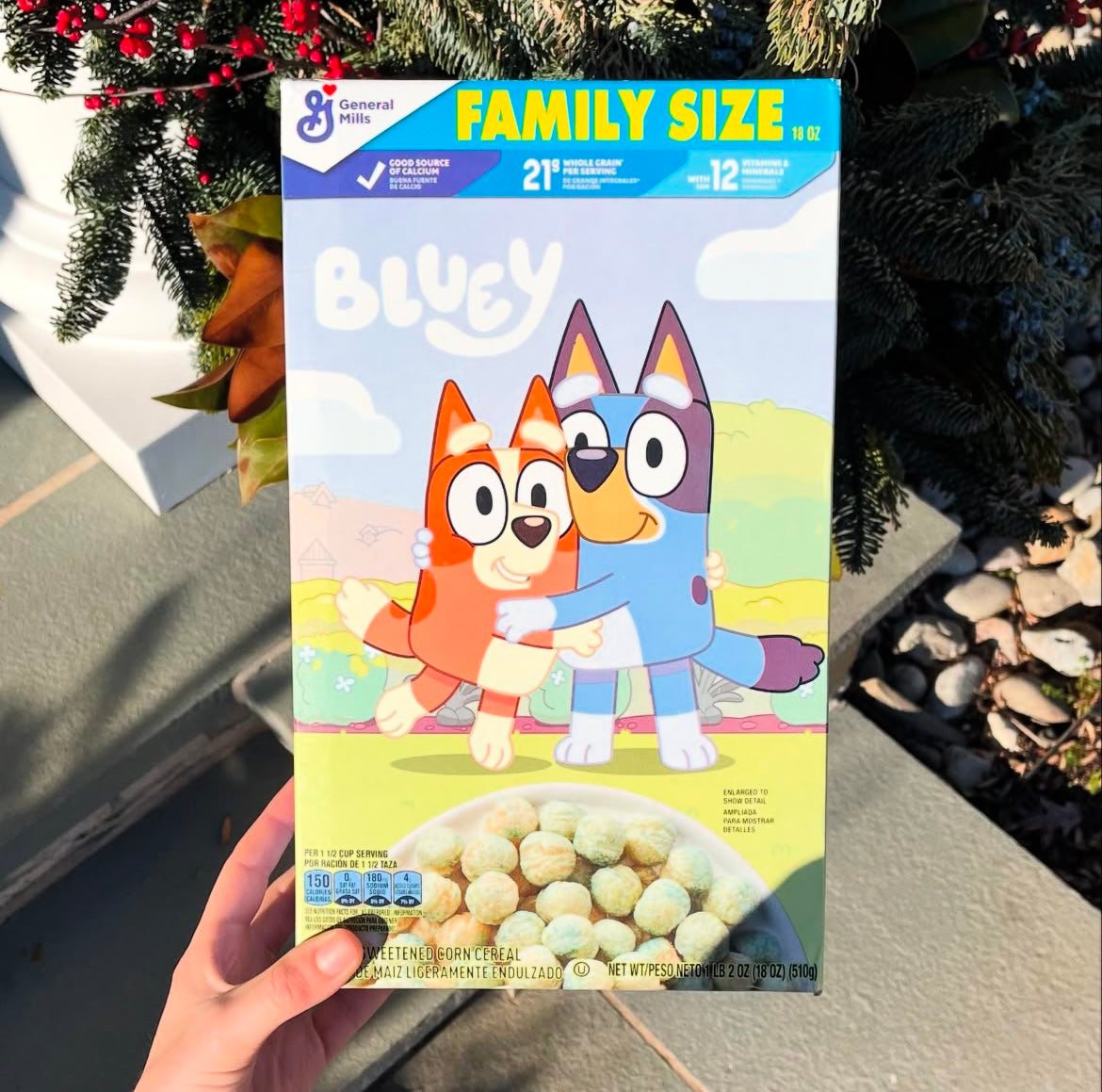 CEREAL BLUEY FAMILY SIZE ✨